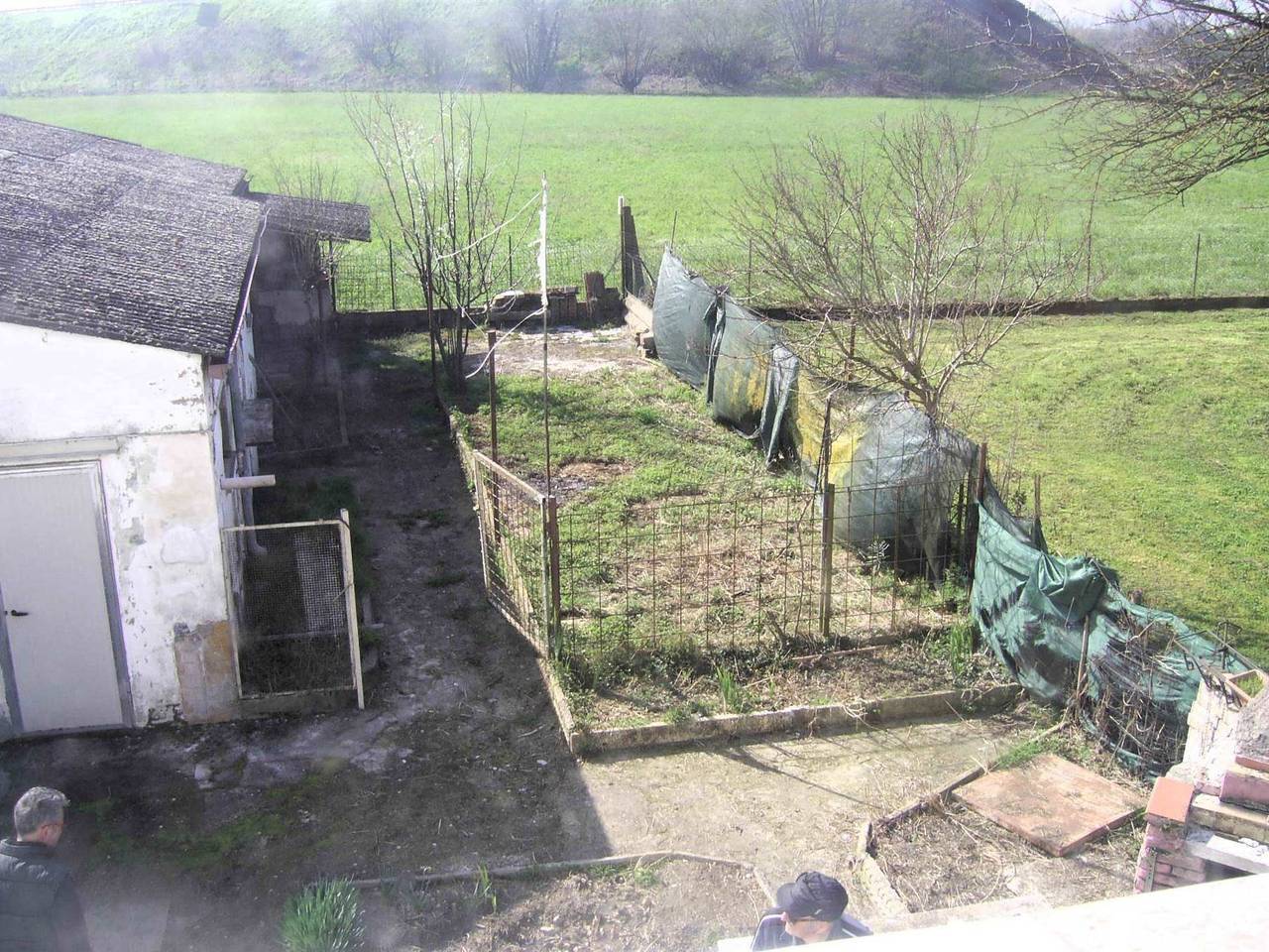 immagine annuncio 10 di 12