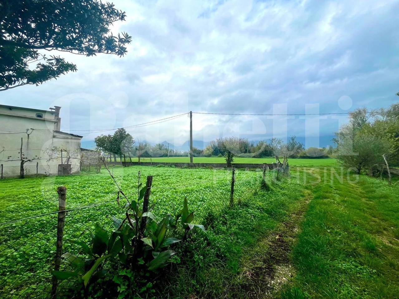 immagine annuncio 9 di 11