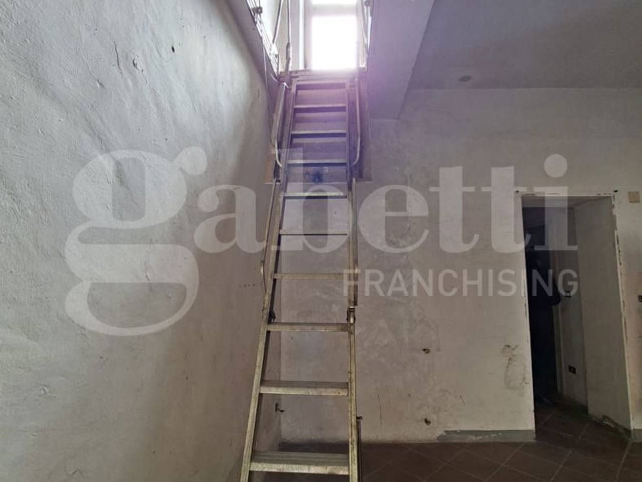 immagine annuncio 11 di 14