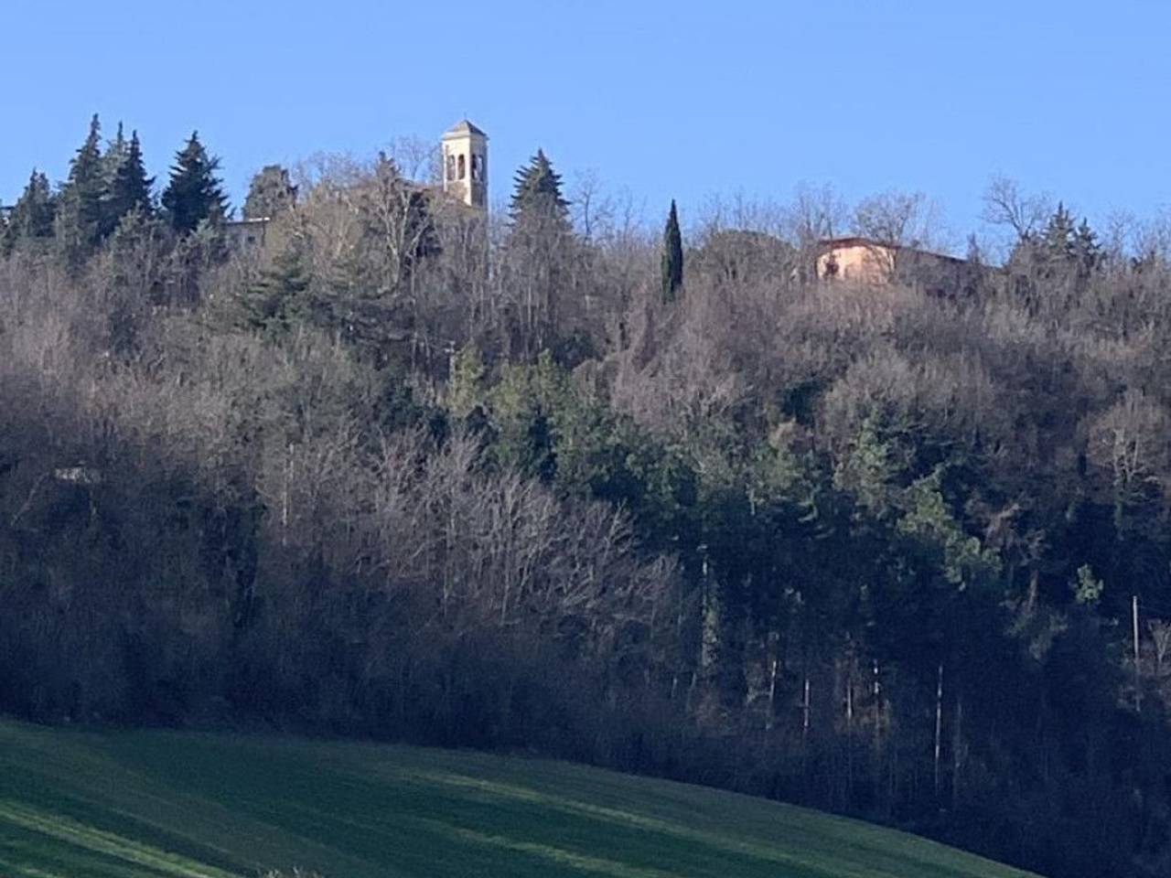 immagine annuncio 10 di 13