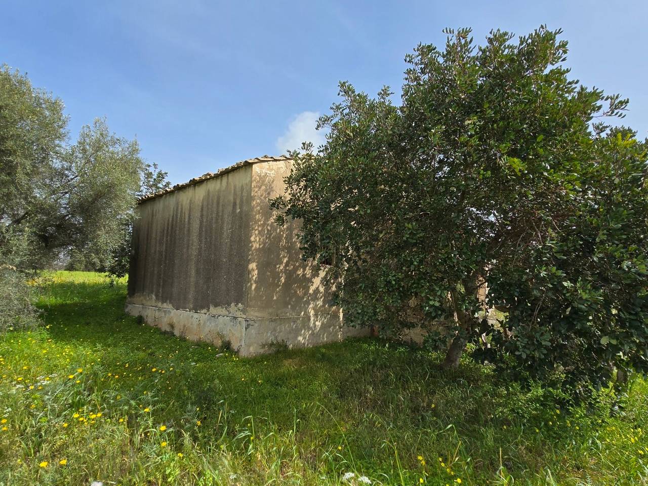 immagine annuncio 11 di 15