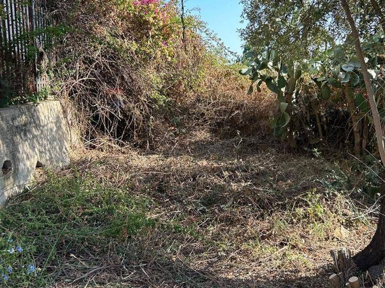 immagine annuncio 3 di 12