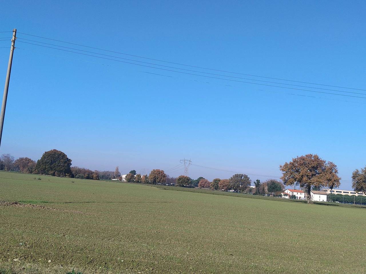 immagine annuncio 7 di 13