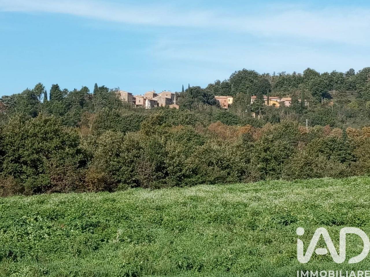 immagine annuncio 3 di 9