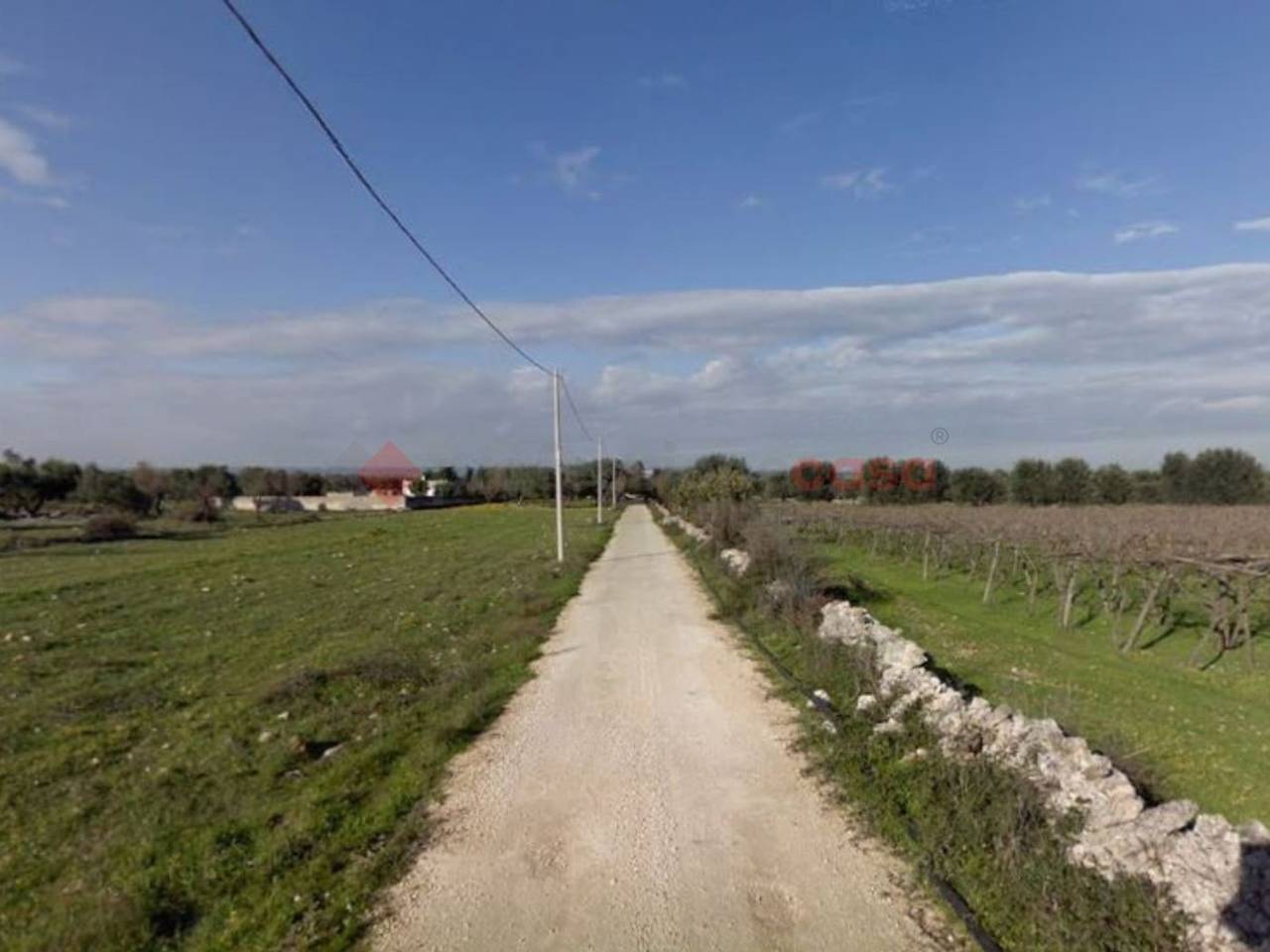 immagine annuncio 7 di 8