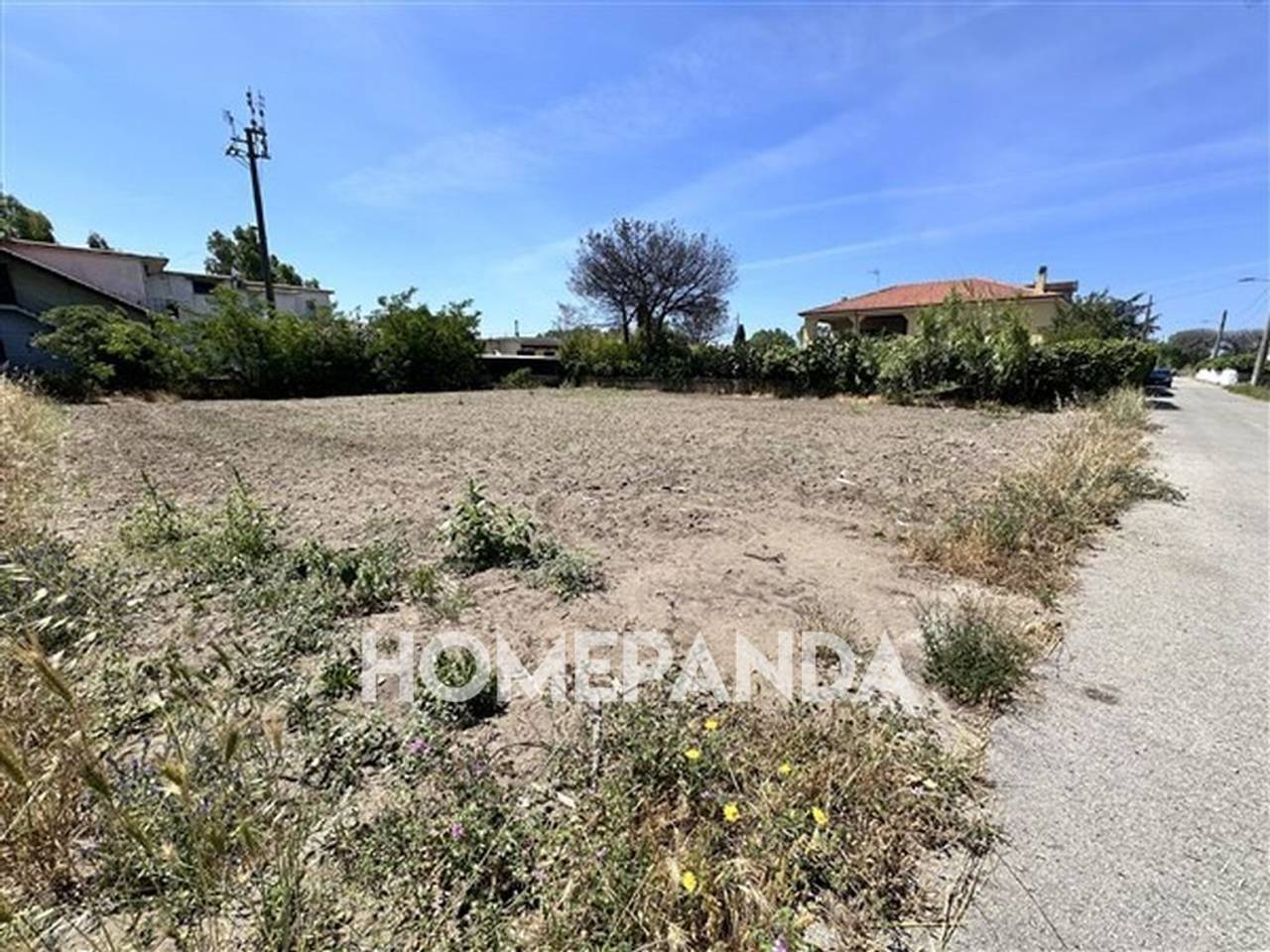 immagine annuncio 2 di 6