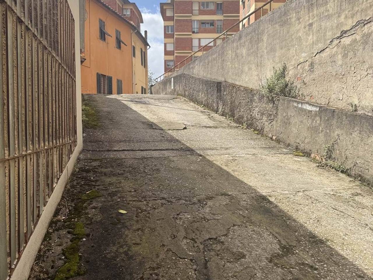 immagine annuncio 6 di 7