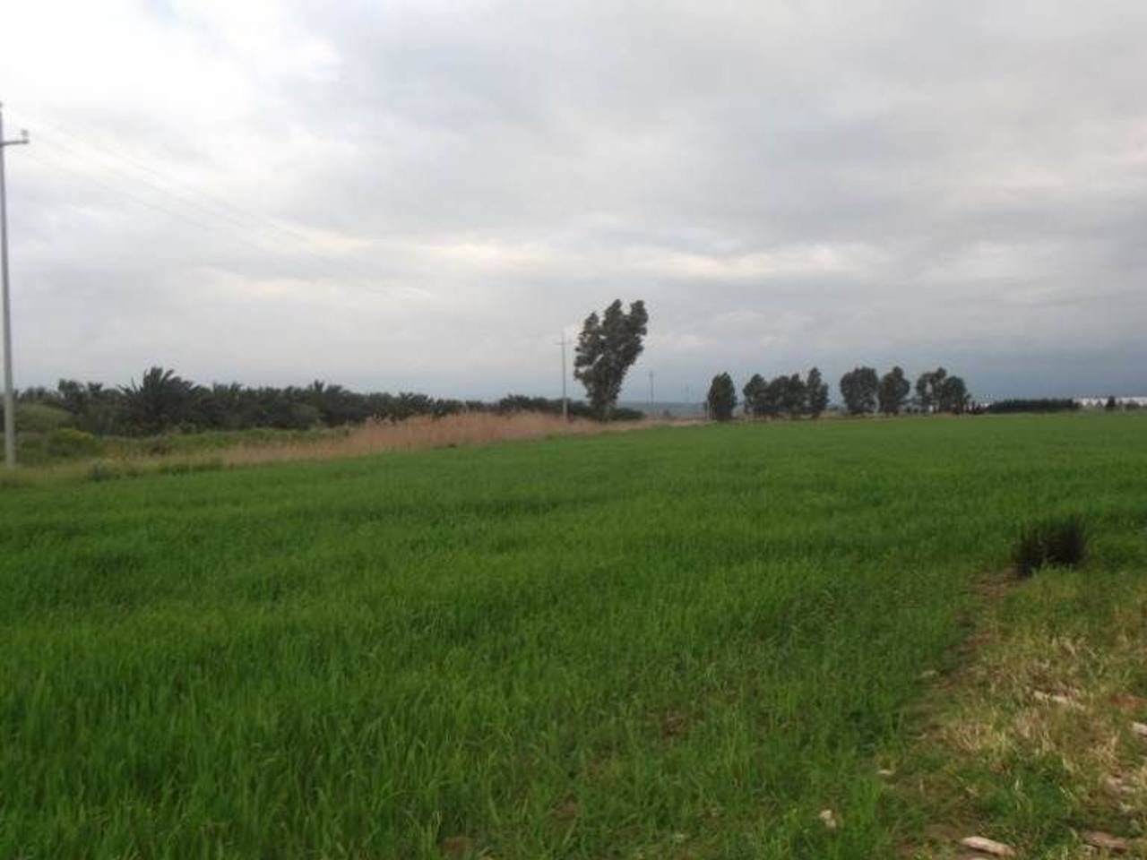 immagine annuncio 7 di 11