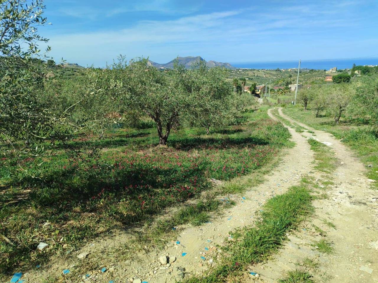 immagine annuncio 2 di 8