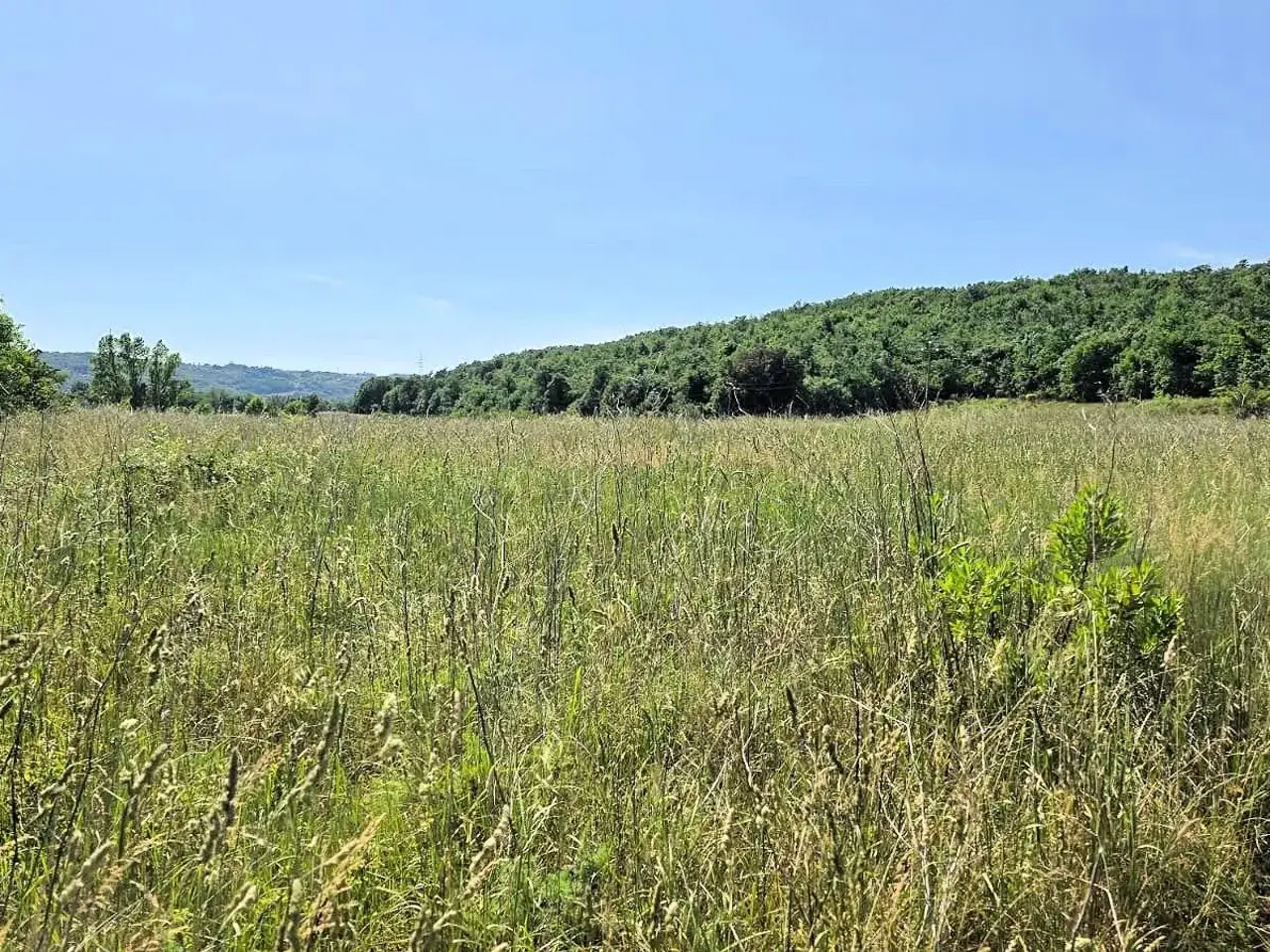 Azienda agricola in , Massa Marittima, {3} - Foto 1