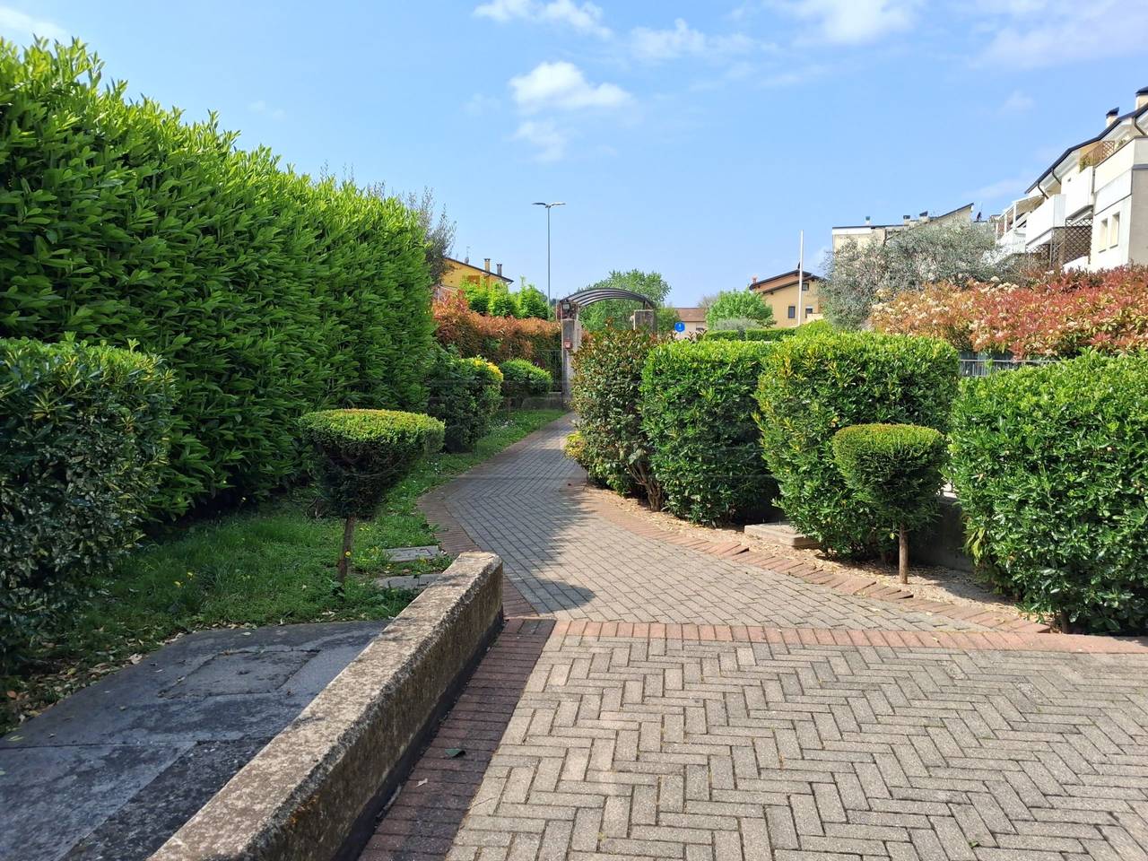 immagine annuncio 1 di 2