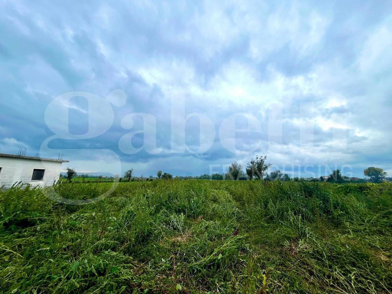 immagine annuncio 6 di 11