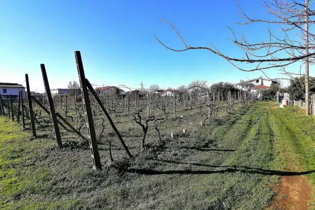 Agrargrundstück, Massa - Foto 1