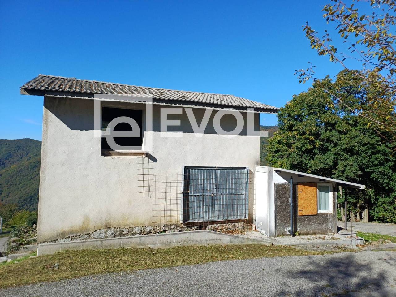 immagine annuncio 3 di 14