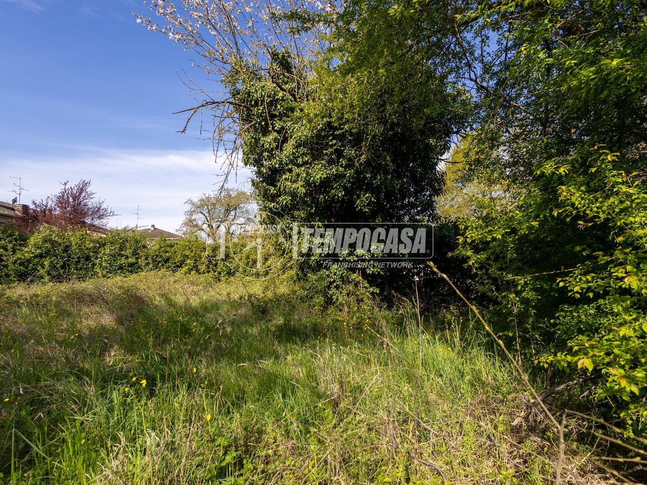 immagine annuncio 10 di 14