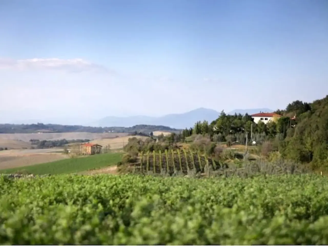 Agriturismo in Via del Commercio, Santa Luce, {3} - Foto 2