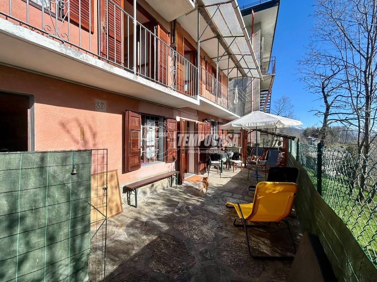 immagine annuncio 1 di 15