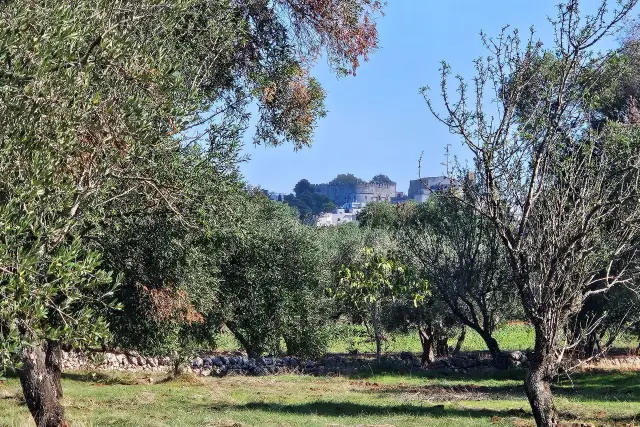 Terreno edificabile, Carovigno - Foto 1