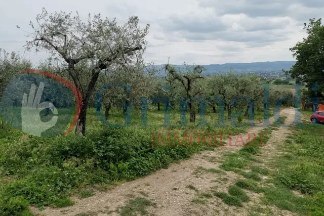 insertion image
