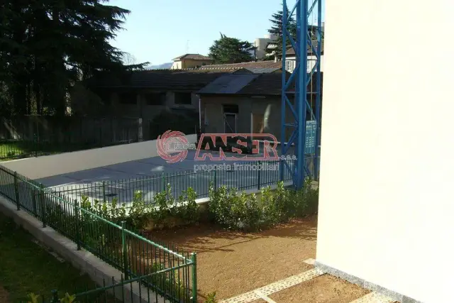insertion image