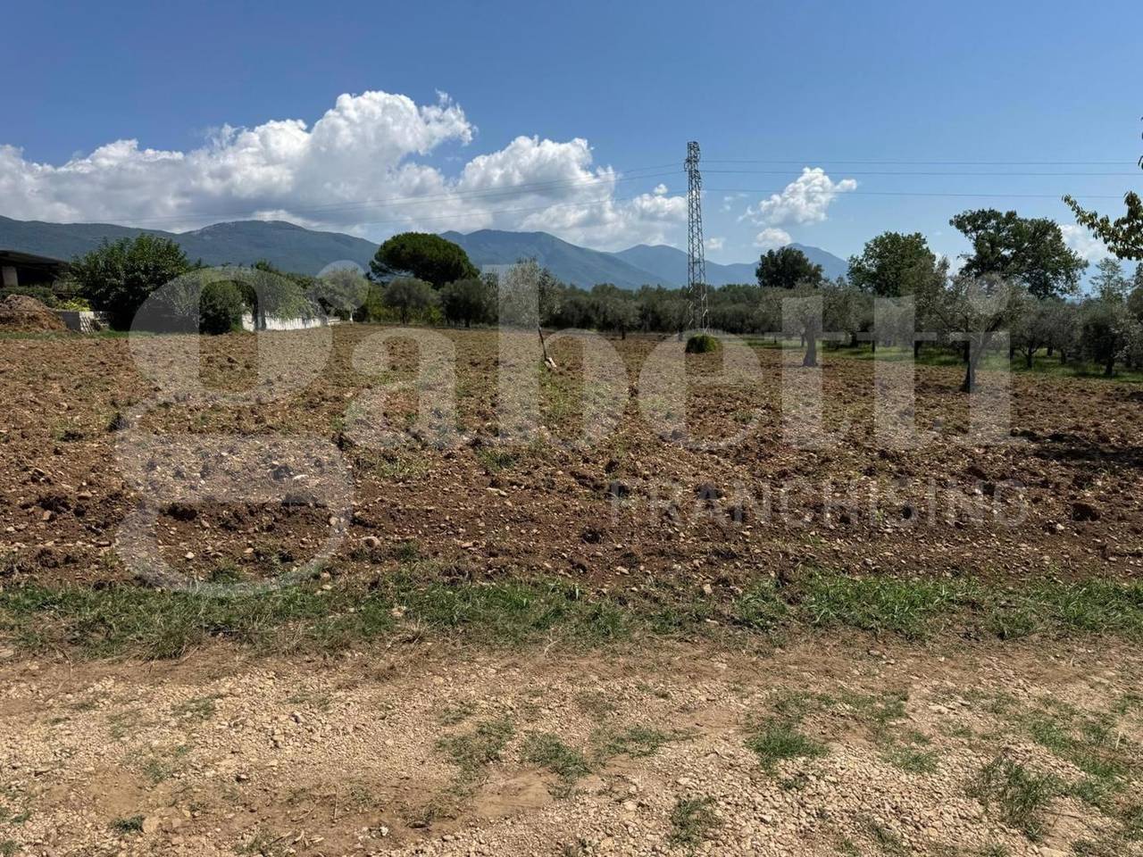 immagine annuncio 7 di 13