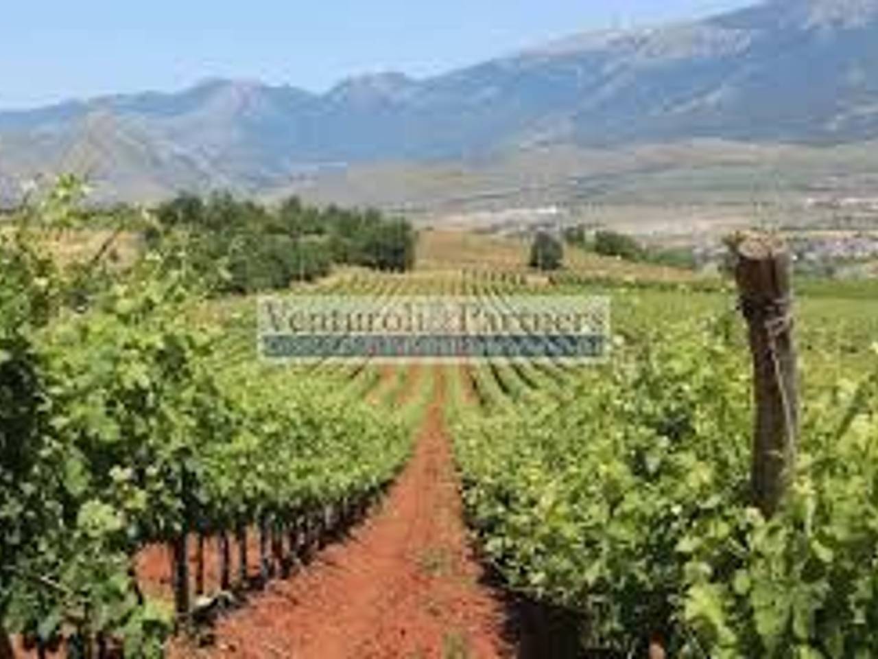 immagine annuncio 8 di 12