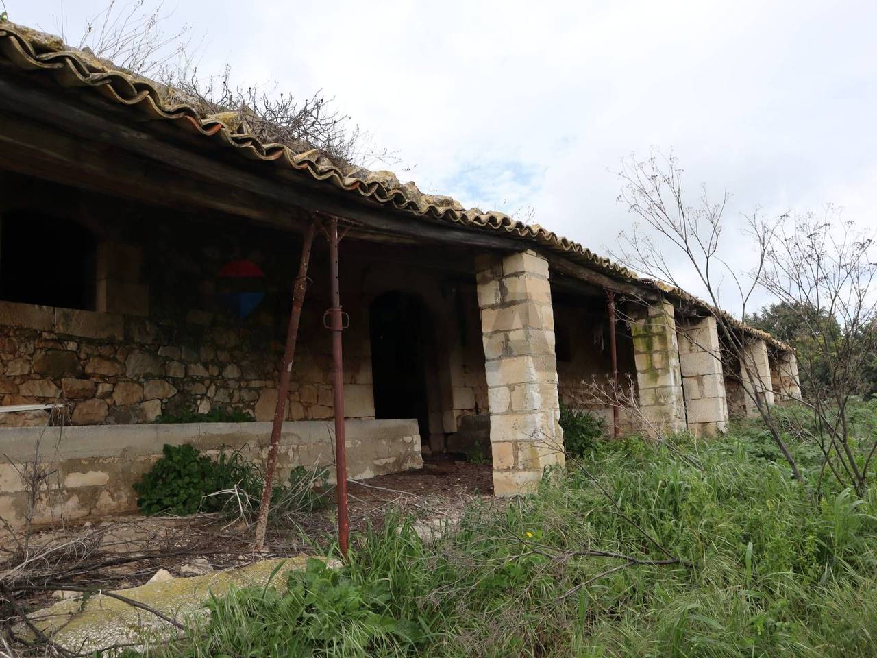 immagine annuncio 4 di 15