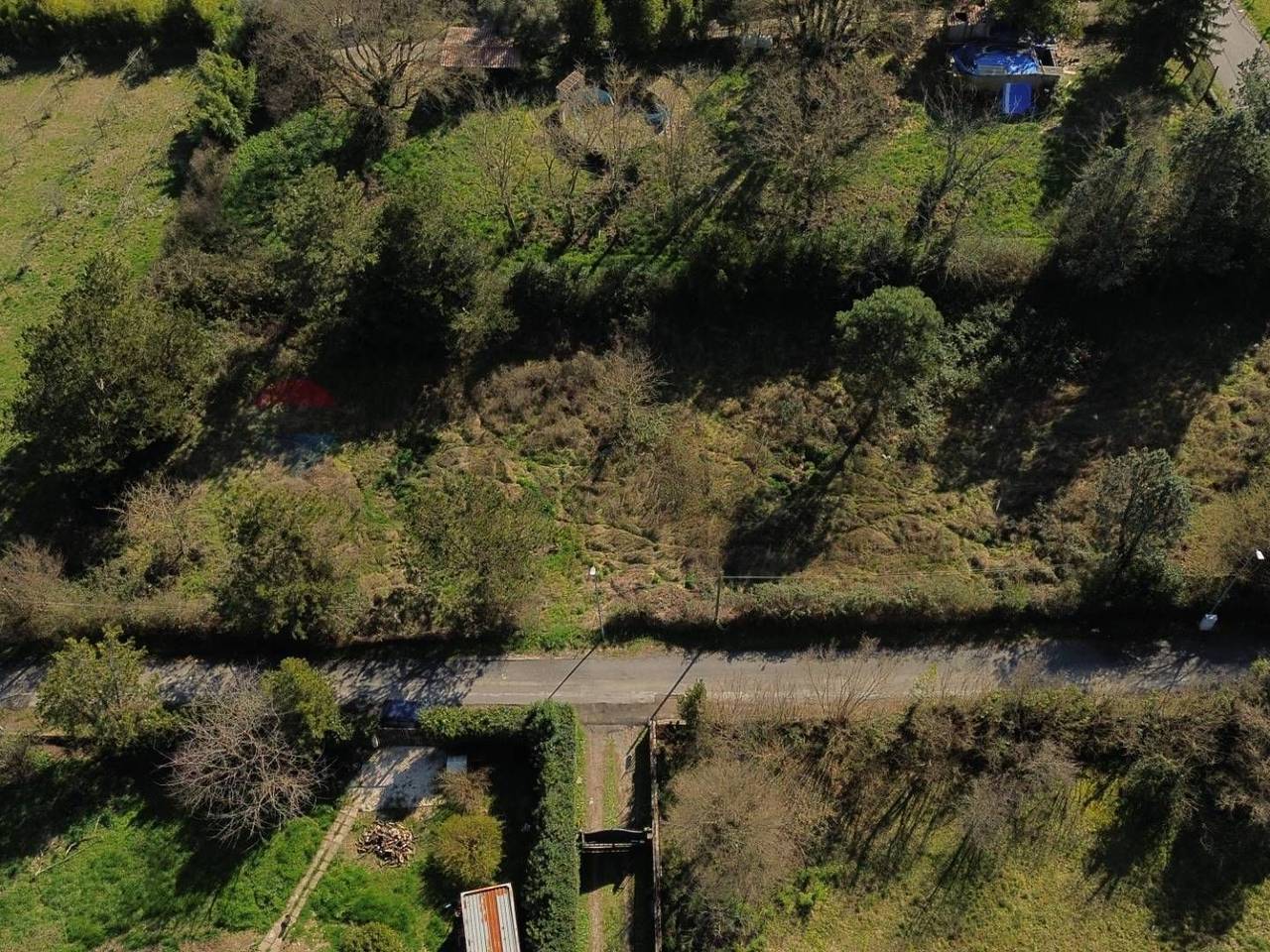 immagine annuncio 3 di 7