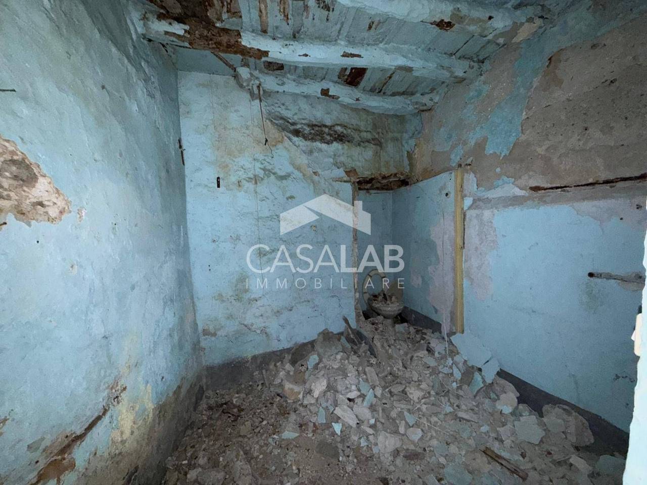 immagine annuncio 5 di 7