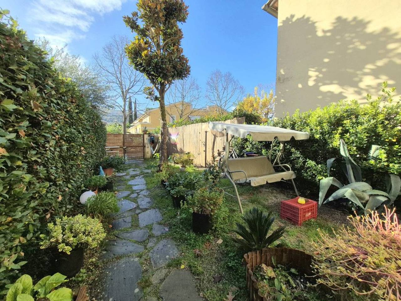 immagine annuncio 9 di 15