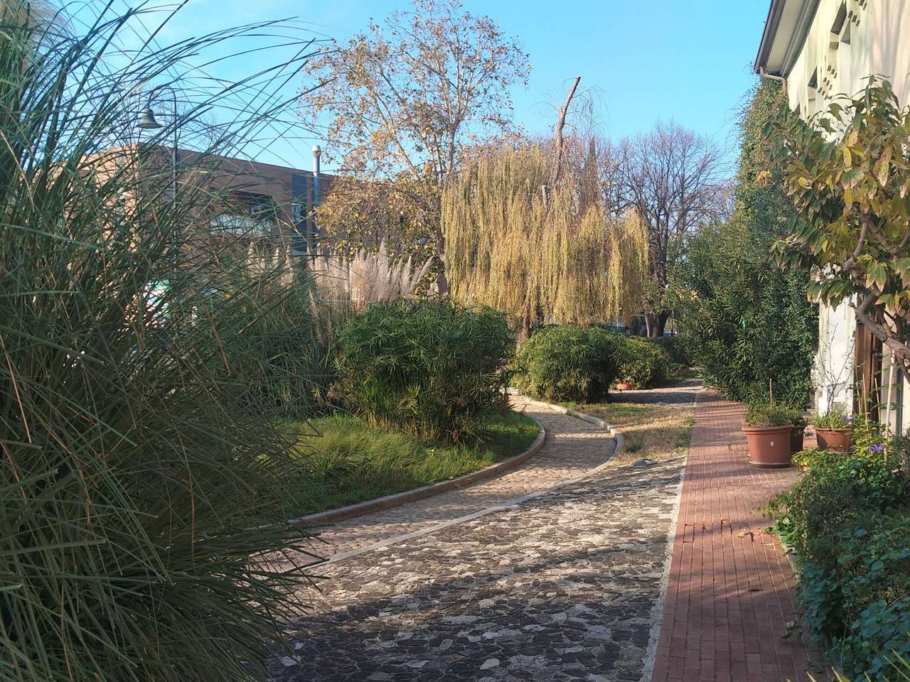 immagine annuncio 3 di 13