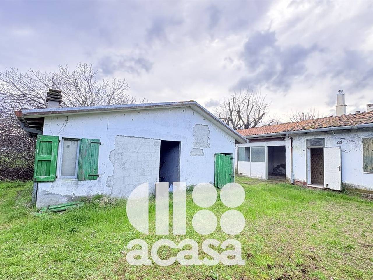 immagine annuncio 2 di 13