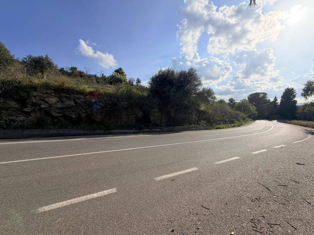 immagine annuncio 6 di 14