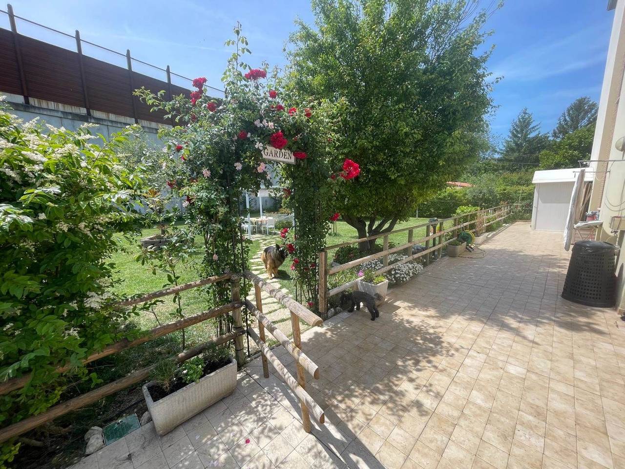 immagine annuncio 4 di 8