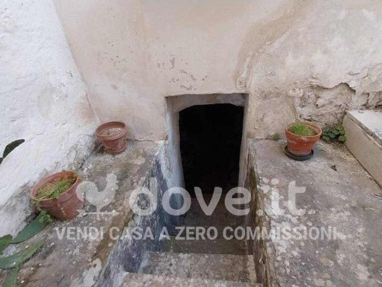 immagine annuncio 10 di 13