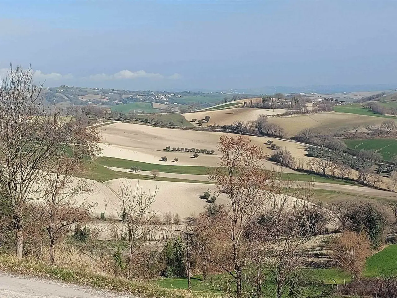 Azienda agricola in , Arcevia, {3} - Foto 1