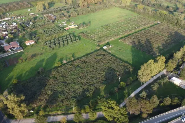 Terreno agricolo in Via Camillo Prampolini, Cisterna di Latina - Foto 1