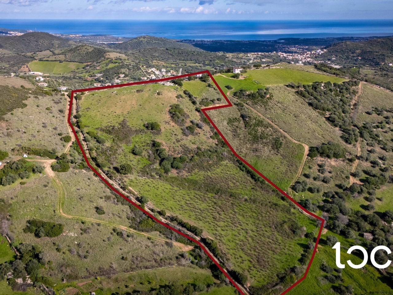 immagine annuncio 10 di 11