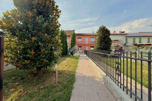 insertion image