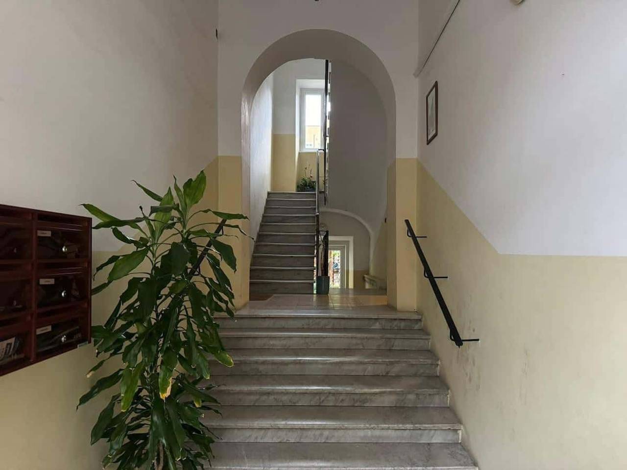 immagine annuncio 5 di 8