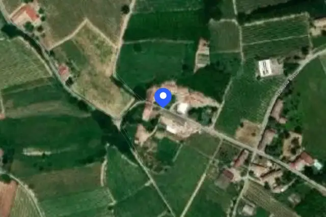 insertion image