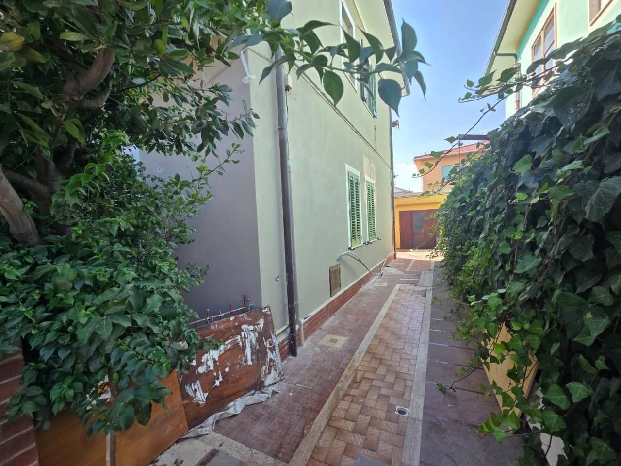 immagine annuncio 1 di 6