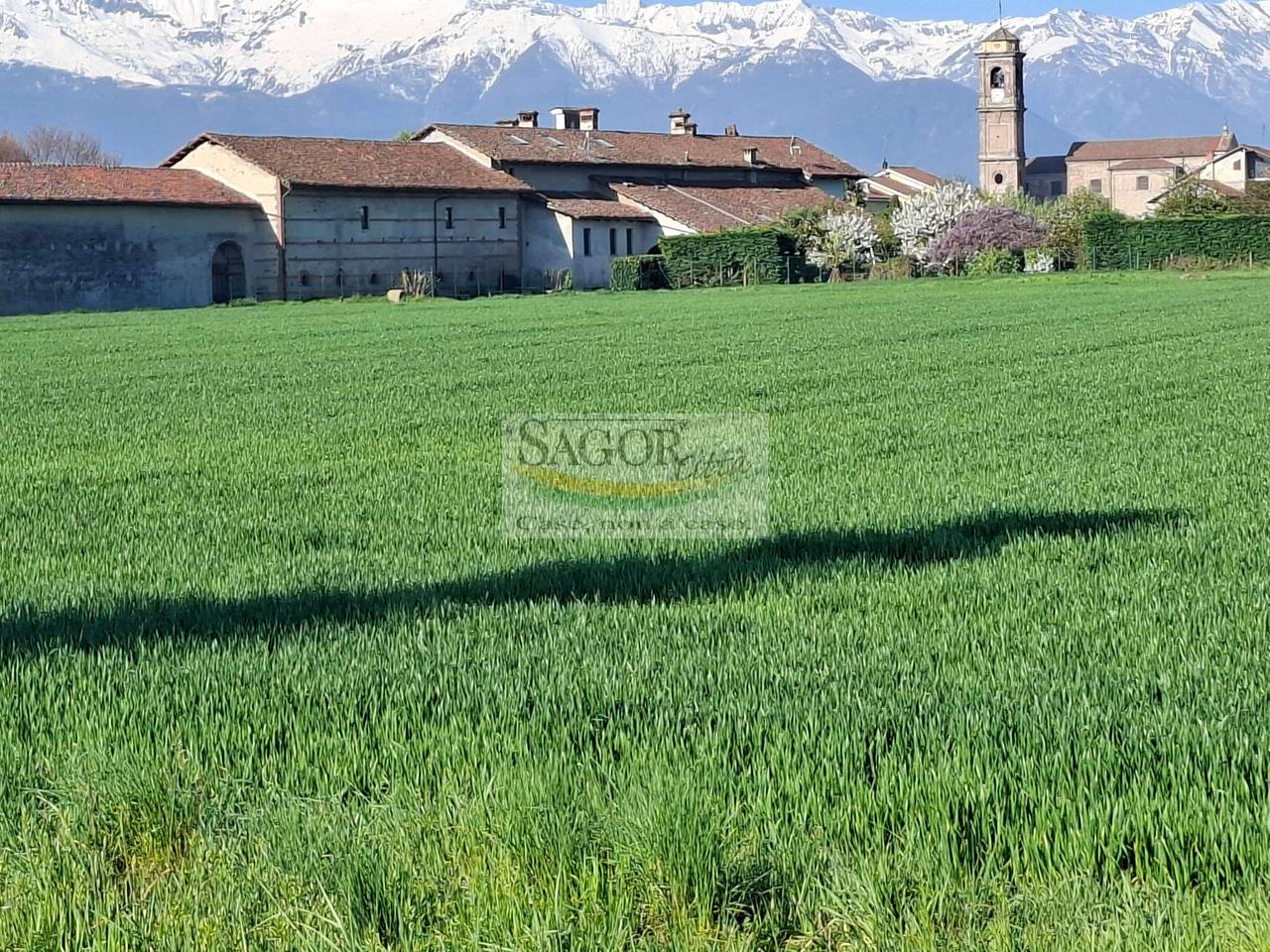 immagine annuncio 4 di 6