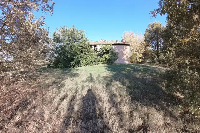 insertion image
