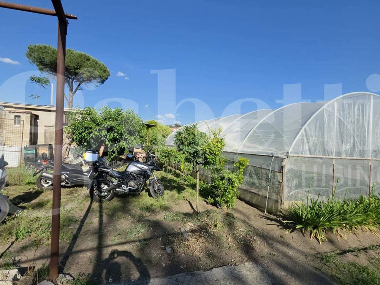 immagine annuncio 7 di 14