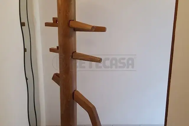 insertion image