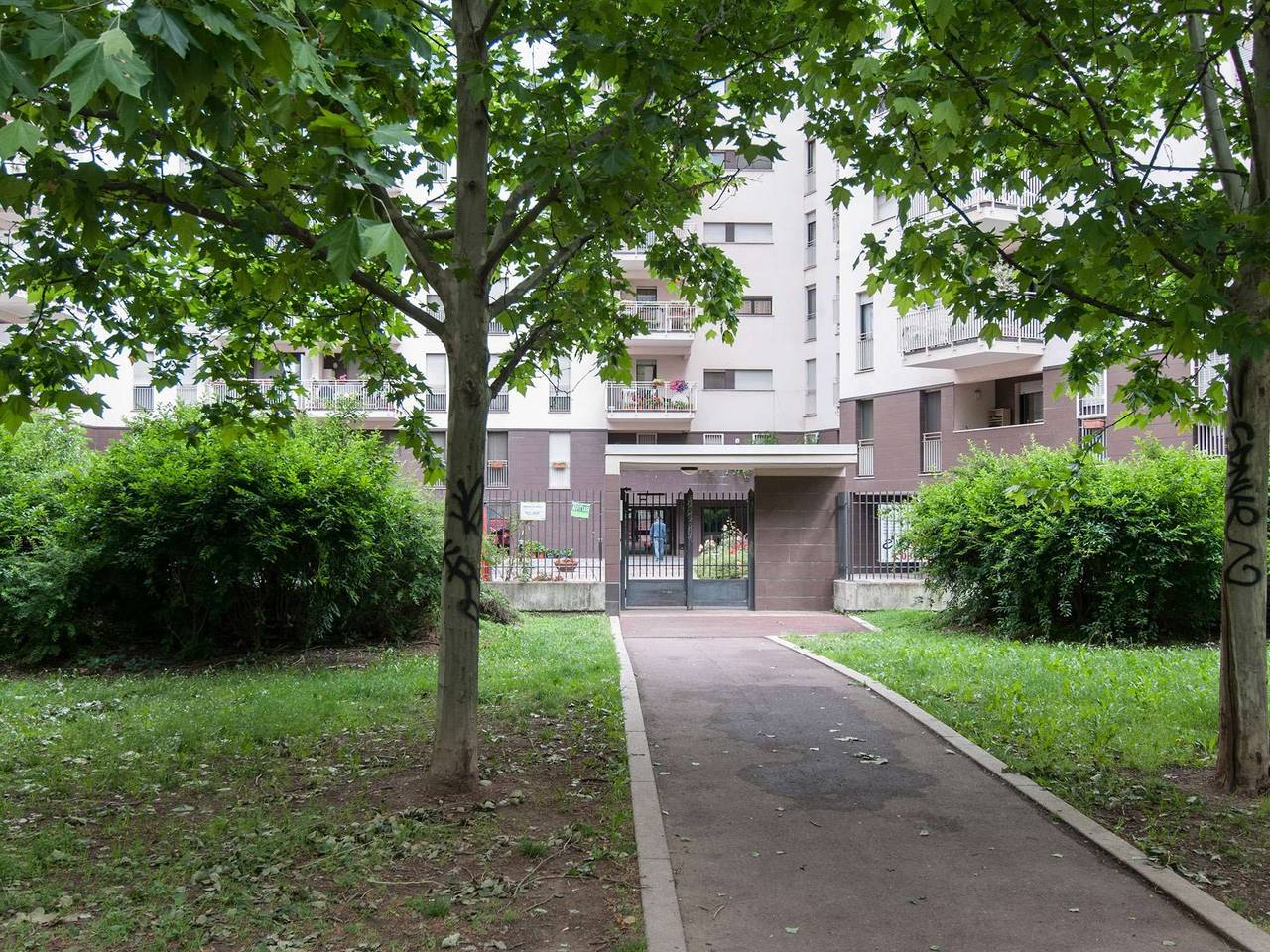 immagine annuncio 14 di 15