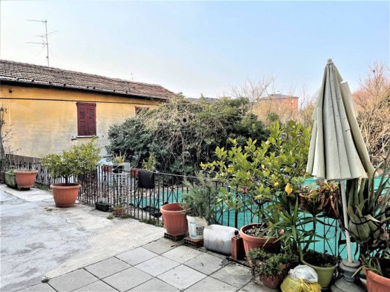 immagine annuncio 6 di 14