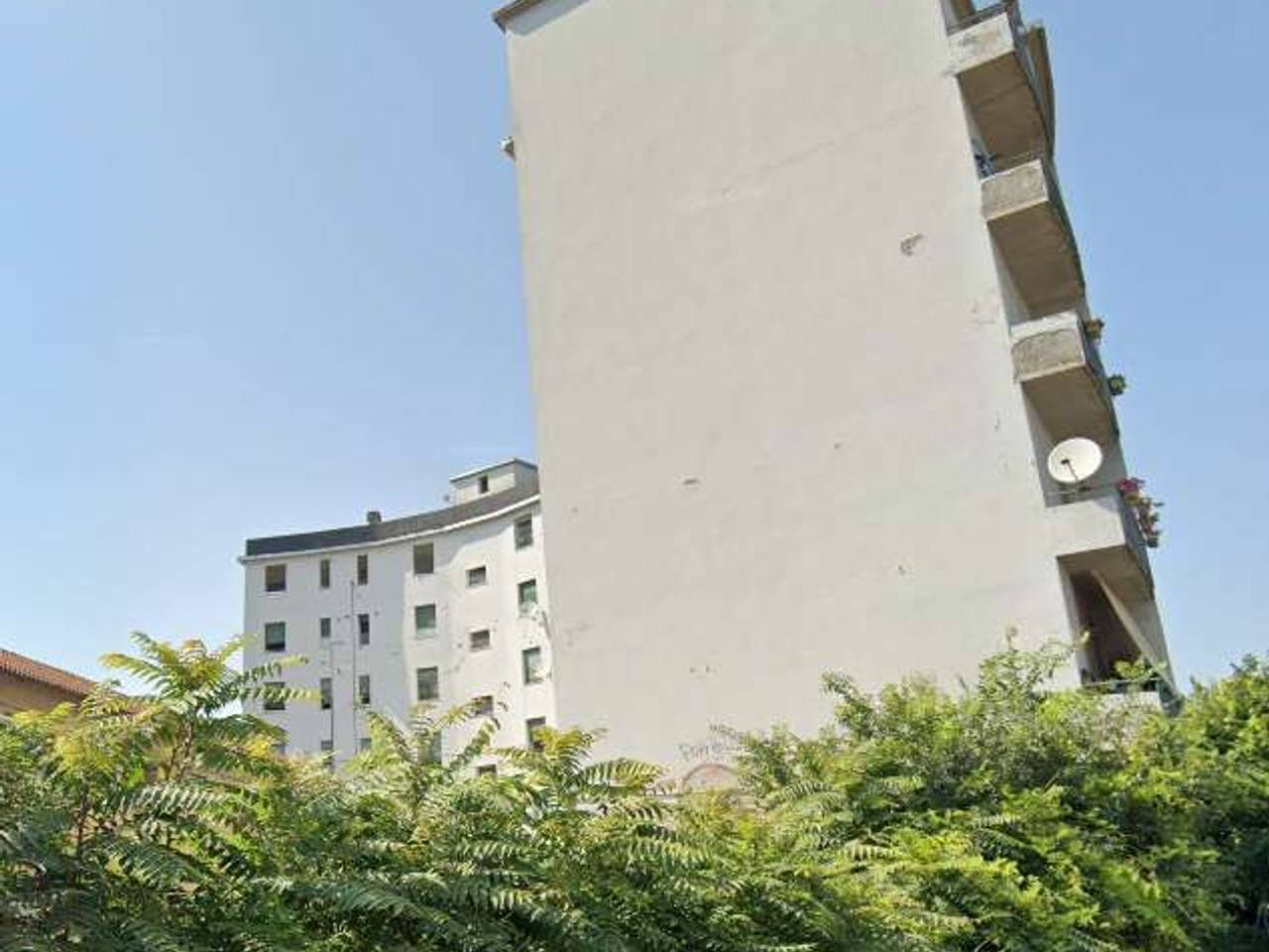 immagine annuncio 3 di 4