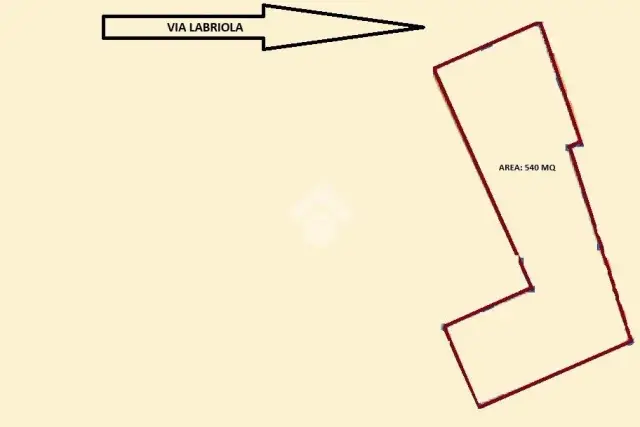 insertion image